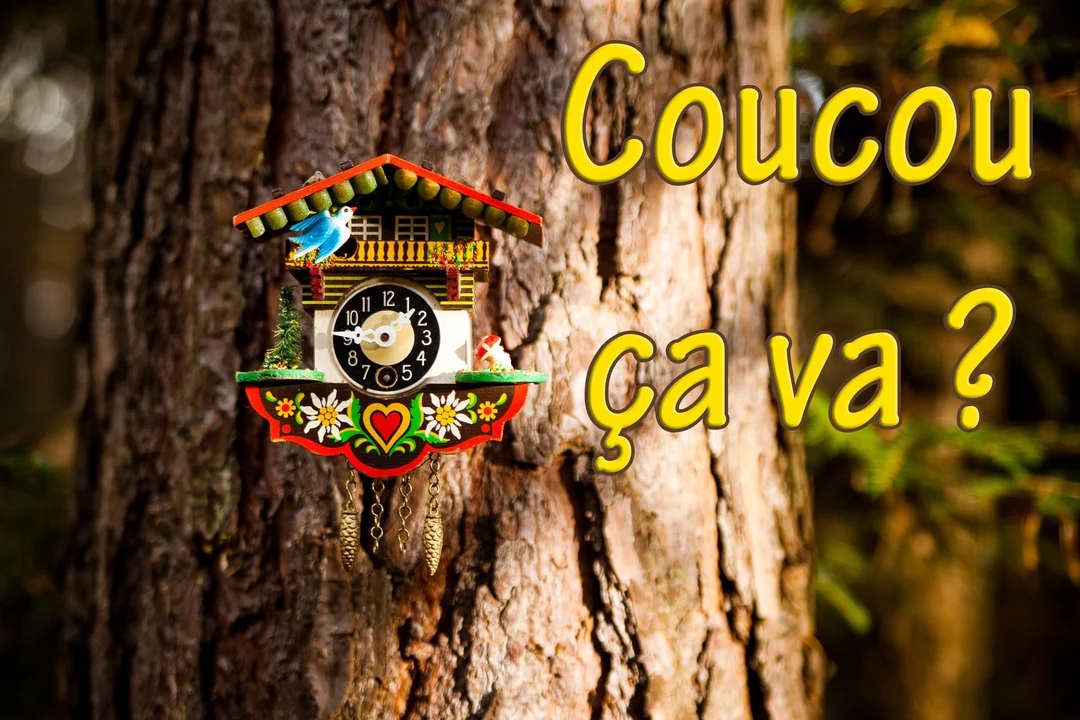 Une horloge coucou folklorique est fixée sur le tronc d'un grand arbre en forêt, accompagnée du message amical 'Coucou ça va ?'.