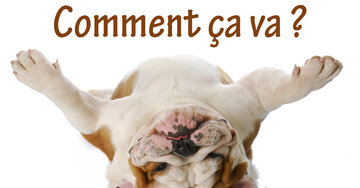 Aperçu de la carte : Comment ça va ?