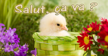 Aperçu de la carte : Salut ça va ?