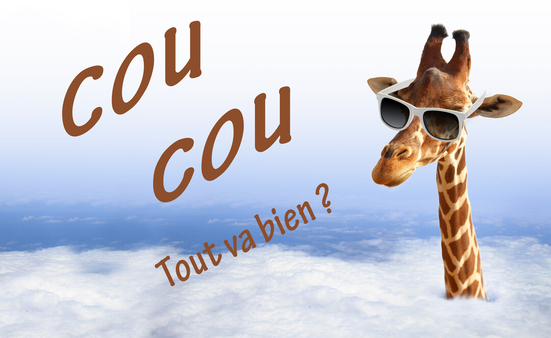 Photomontage d'une tête de girafe avec des lunettes de soleil émergeant d'une mer de nuages sous un ciel bleu clair.