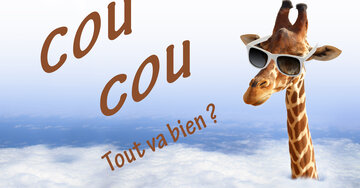 Aperçu de la carte : Coucou tout va bien ?