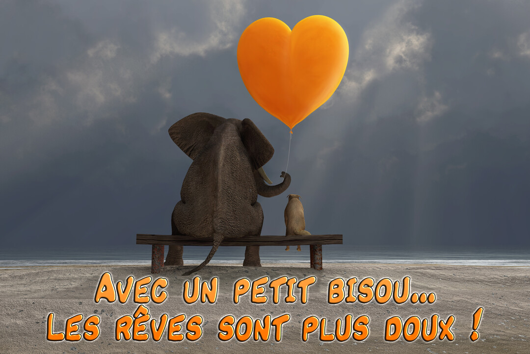 Un éléphant et un petit chien sont assis de dos sur un banc face à la mer, sous un ciel nuageux, tenant un ballon-cœur orange.