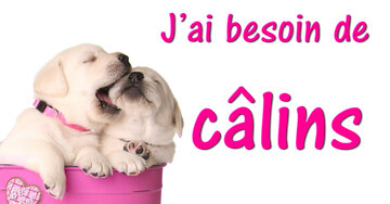 Aperçu de la carte : J'ai besoin de câlins