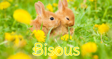 Aperçu de la carte : Bisous