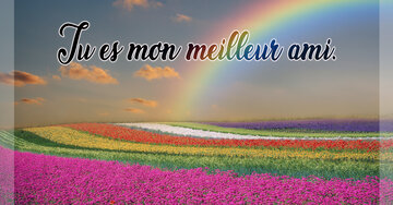 Aperçu de la carte : Tu es mon meilleur ami.
