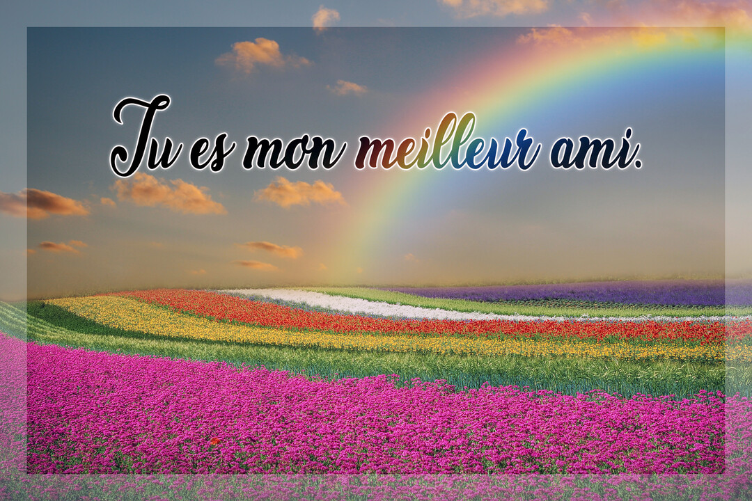 La phrase 'Tu es mon meilleur ami' est écrite en calligraphie sur un paysage de champs de fleurs multicolores sous un arc-en-ciel.