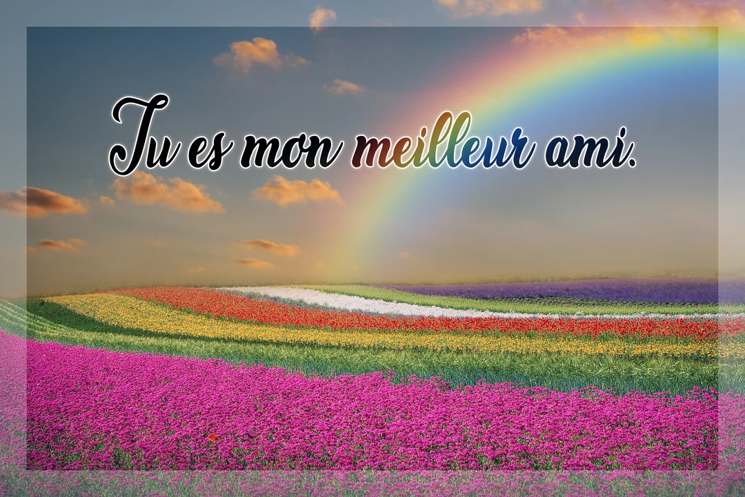 La phrase 'Tu es mon meilleur ami' est écrite en calligraphie sur un paysage de champs de fleurs multicolores sous un arc-en-ciel.