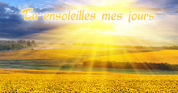 Aperçu de la carte : Tu ensoleilles mes jours.