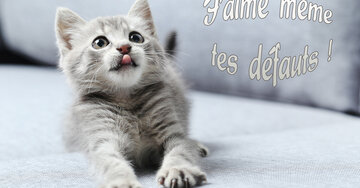 Aperçu de la carte : J'aime même tes défauts !