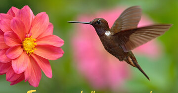 Aperçu de la carte : Tu es une belle personne !