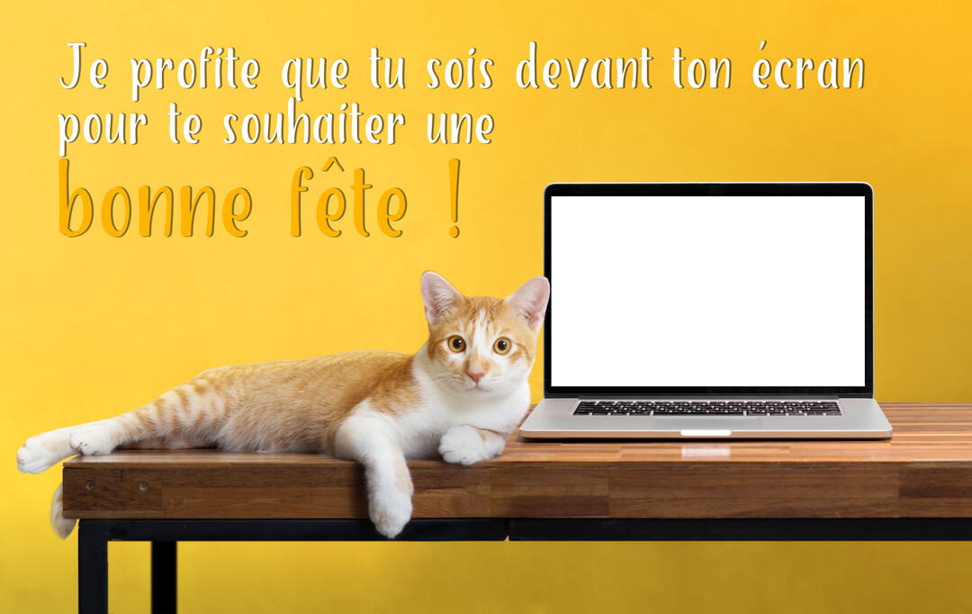 Un chat roux et blanc est couché sur un bureau en bois à côté d'un ordinateur portable, sur un fond jaune vif.