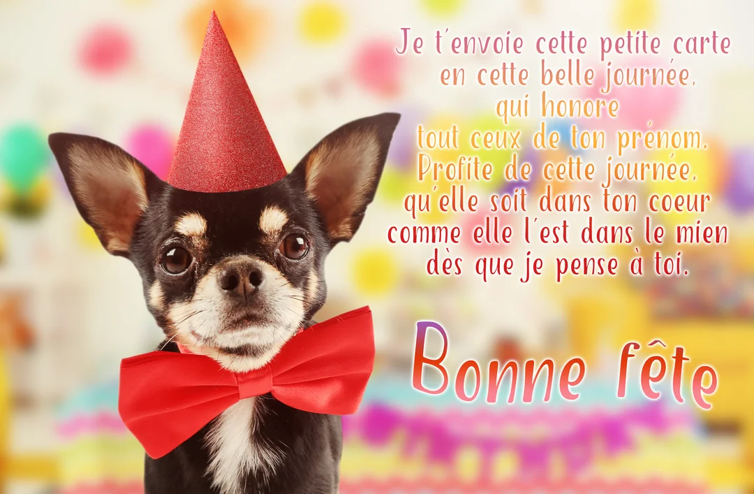 Un petit chihuahua noir et feu regarde la caméra, coiffé d'un chapeau de fête pointu et d'un nœud papillon rouges.