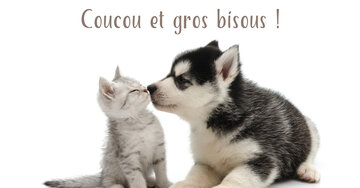 Aperçu de la carte : Coucou et gros bisous !