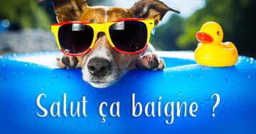 Aperçu de la carte : Salut ça baigne ?