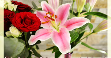 Aperçu de la carte : Si tu étais un délit, tu serais un excès de beauté!