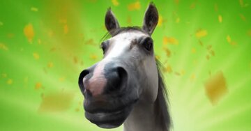 Aperçu de la carte : Gros bisous