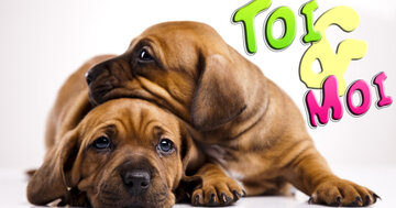 Aperçu de la carte : Toi et moi