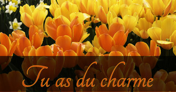 Aperçu de la carte : Tu as du charme