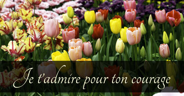 Aperçu de la carte : Je t'admire pour ton courage