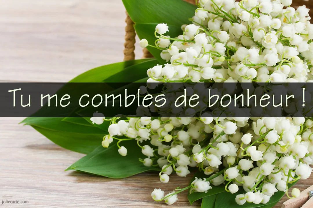 En gros plan, un généreux bouquet de muguet blanc et vert repose sur une surface en bois clair, avec le texte 'Tu me combles de bonheur !' superposé.