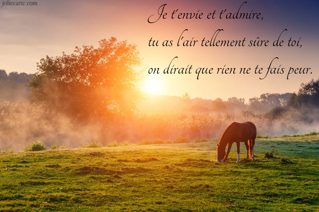 Un cheval brun paît paisiblement dans un pré verdoyant, baigné par la lumière dorée d'un lever de soleil brumeux à l'horizon.
