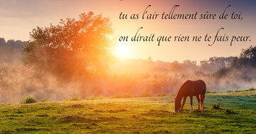 Aperçu de la carte : « Je t'envie et t'admire, tu as l'air tellement sûre de toi... »