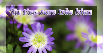 Aperçu de la carte : Tu t'en sors très bien