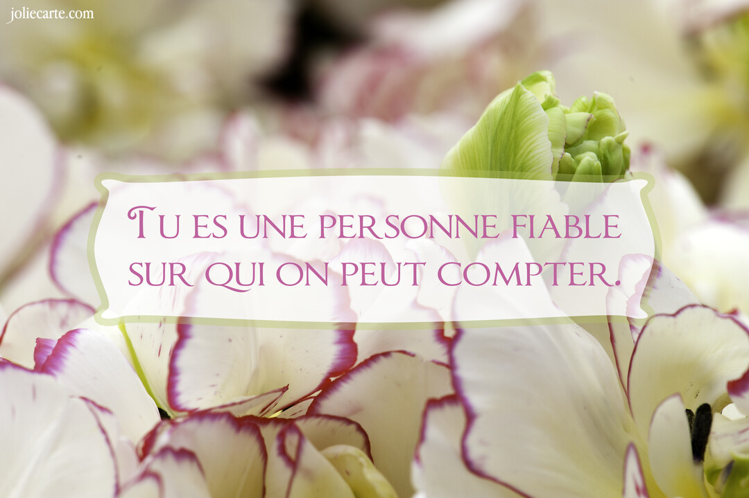Un message de compliment est superposé sur une photographie en gros plan de tulipes blanches aux bords roses, avec un bourgeon vert visible.