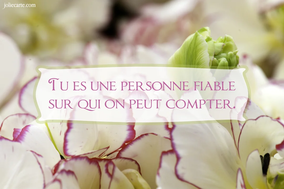 Un message de compliment est superposé sur une photographie en gros plan de tulipes blanches aux bords roses, avec un bourgeon vert visible.