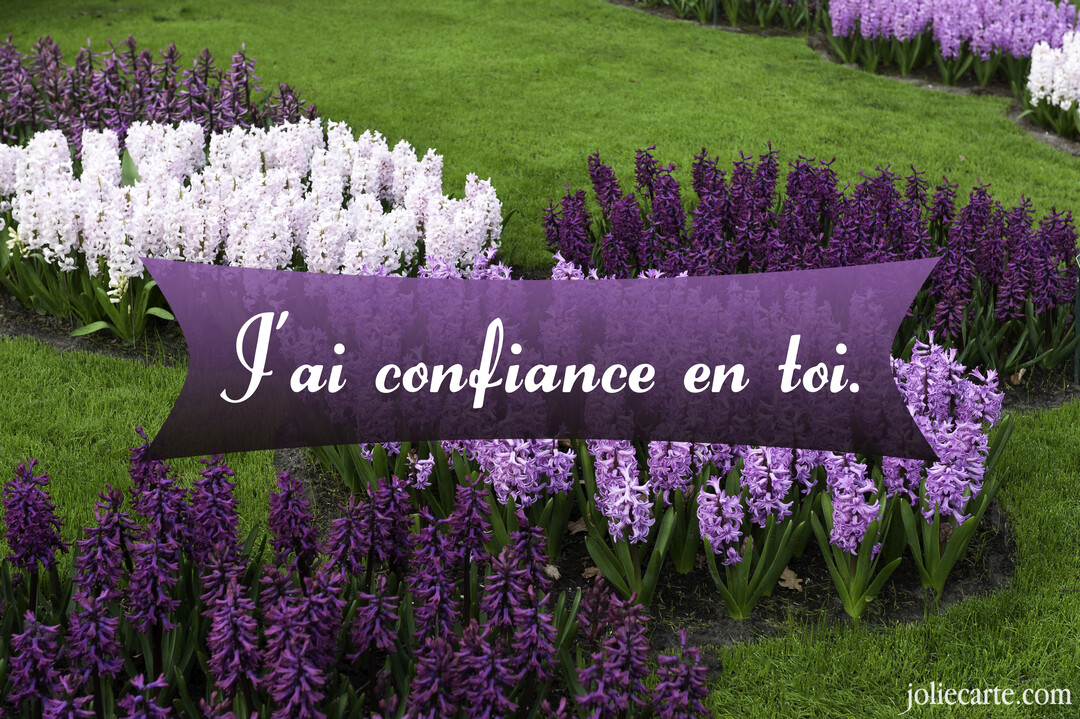 Un parterre fleuri de jacinthes violettes et blanches dans un jardin verdoyant, avec une bannière pourpre portant un message de confiance.