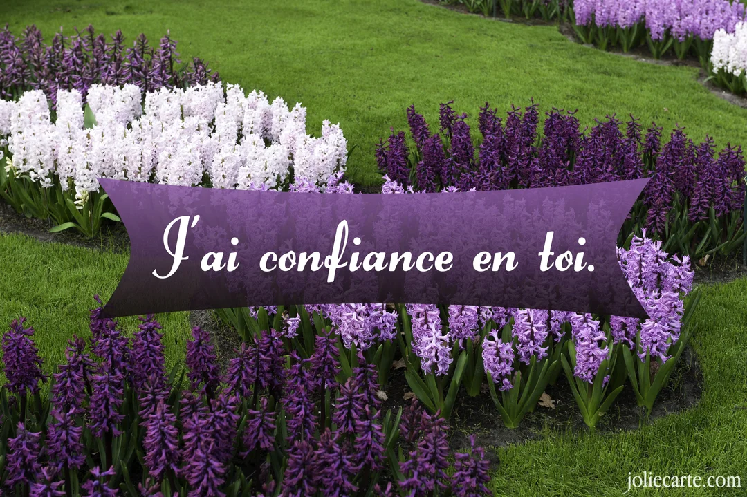 Un parterre fleuri de jacinthes violettes et blanches dans un jardin verdoyant, avec une bannière pourpre portant un message de confiance.