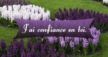 Aperçu de la carte : J'ai confiance en toi.