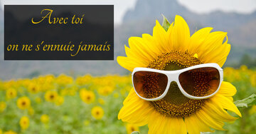 Aperçu de la carte : Avec toi on ne s'ennuie jamais