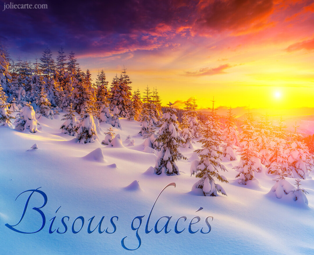 Paysage hivernal de sapins couverts de neige sous un spectaculaire coucher de soleil aux teintes orangées, roses et violettes.