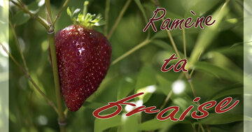Aperçu de la carte : Ramène ta fraise