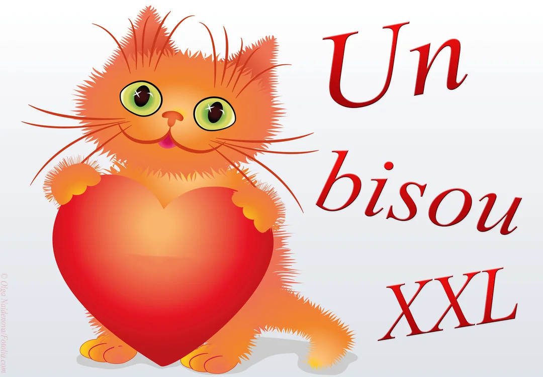 Un adorable chaton orange et poilu, aux grands yeux verts, sourit en tenant un gros cœur rouge vif sur un fond blanc.