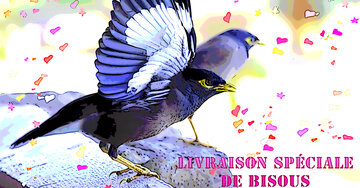 Aperçu de la carte : Livraison spéciale de bisous