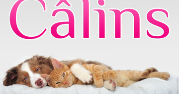 Aperçu de la carte : Câlins