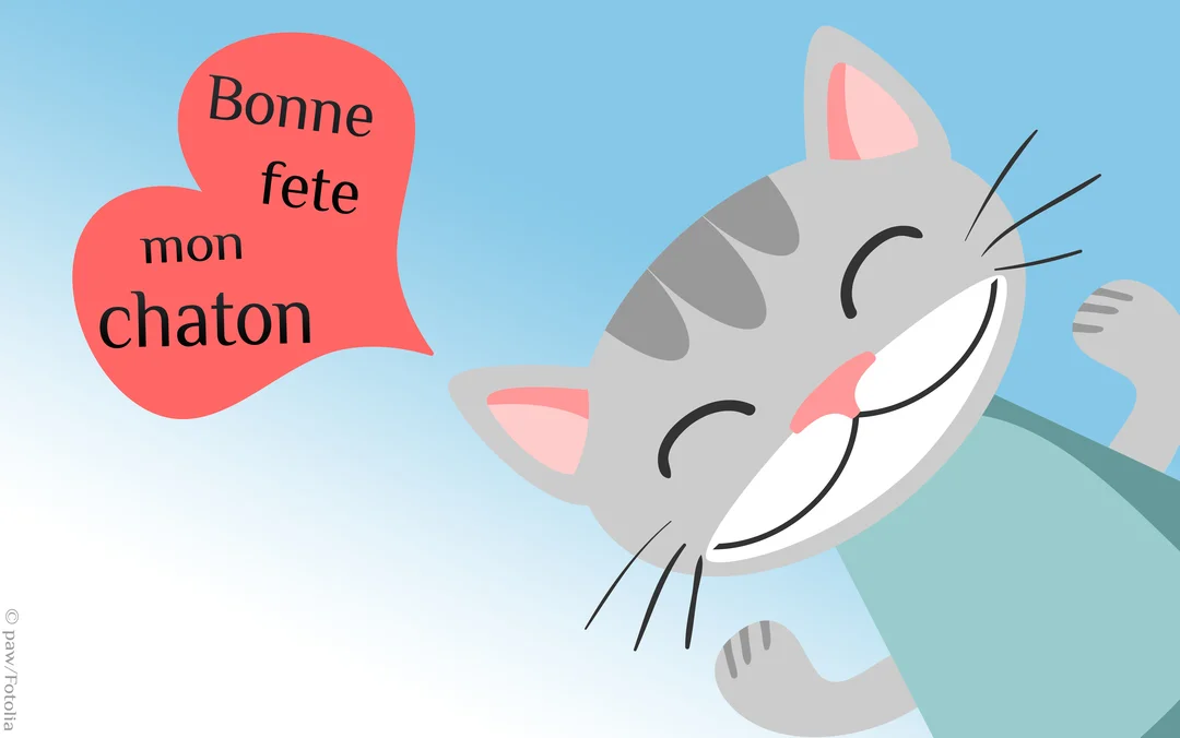 Illustration d'un chat gris souriant sur un fond bleu, avec une bulle de dialogue en forme de cœur rouge indiquant 'Bonne fête mon chaton'.