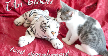 Aperçu de la carte : Un bisou tout simplement