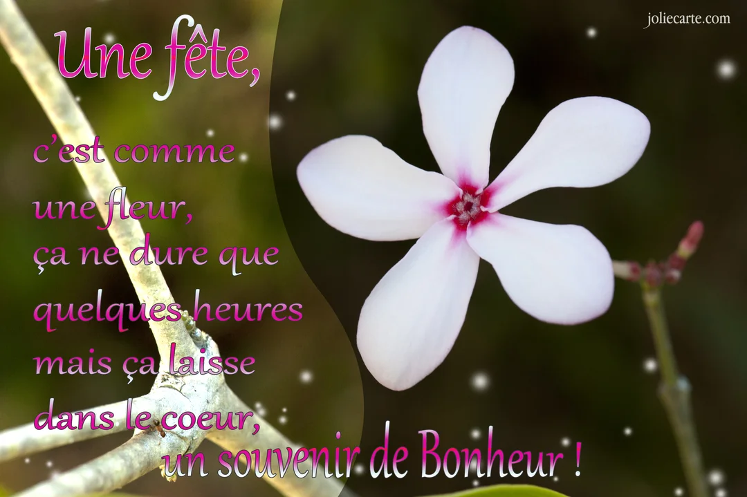 Photographie d'une fleur blanche à cinq pétales avec un cœur rose, à côté d'une citation poétique sur un fond végétal flou.