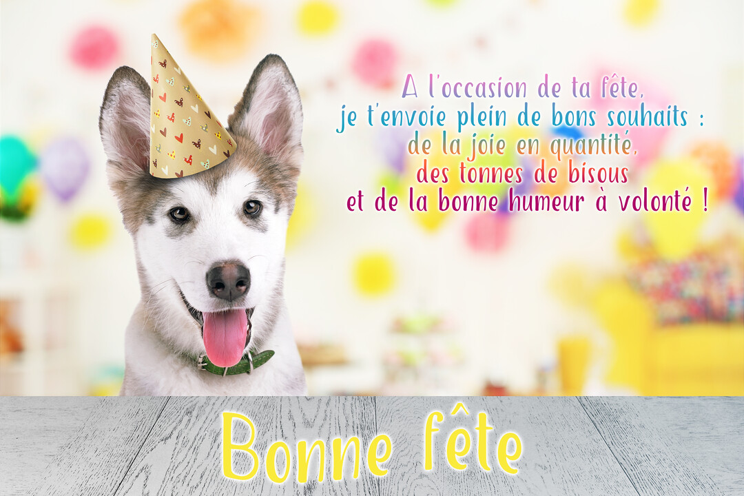 Un jeune chiot husky au pelage gris et blanc, coiffé d'un chapeau de fête, tire la langue devant un arrière-plan festif et flou.