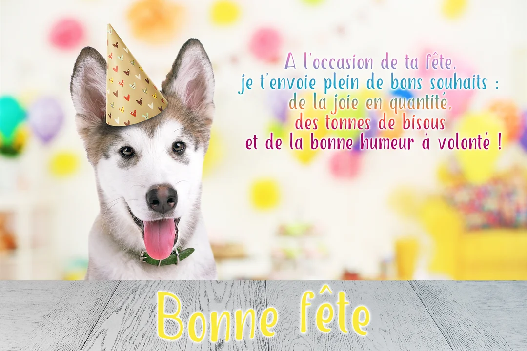 Un jeune chiot husky au pelage gris et blanc, coiffé d'un chapeau de fête, tire la langue devant un arrière-plan festif et flou.