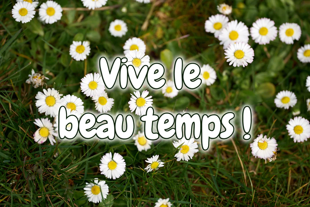 Une photographie d'un parterre de pâquerettes dans l'herbe verte, avec le texte 'Vive le beau temps !' superposé au centre de la carte.