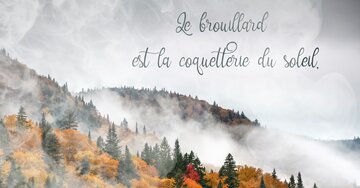 Aperçu de la carte : Le brouillard est la coquetterie du soleil.