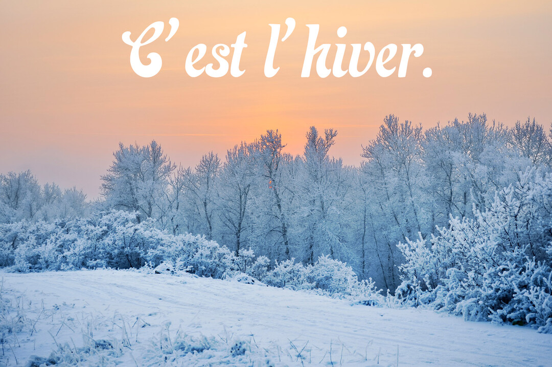 Paysage hivernal avec des arbres et des buissons entièrement recouverts de givre blanc, sous un ciel orangé au lever du soleil.