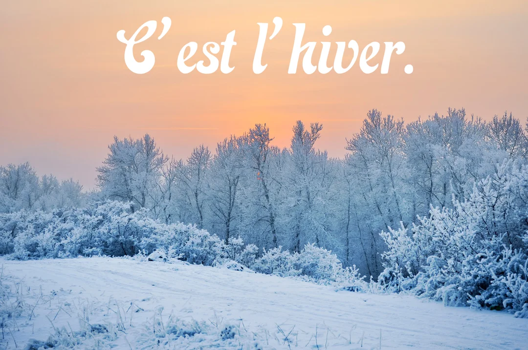Paysage hivernal avec des arbres et des buissons entièrement recouverts de givre blanc, sous un ciel orangé au lever du soleil.
