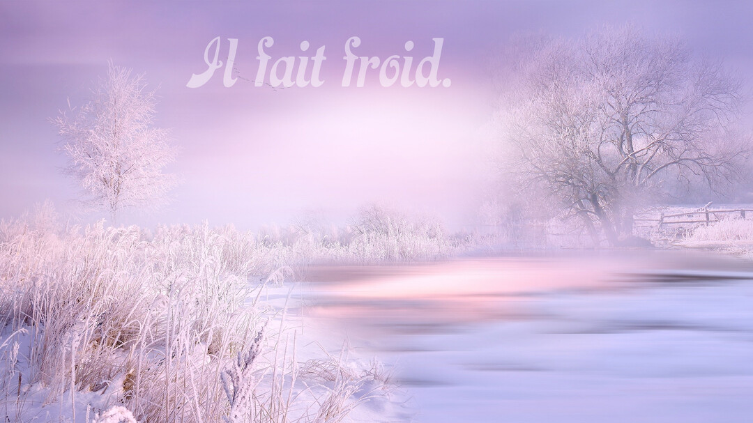 Un paysage d'hiver brumeux et givré aux couleurs pastel, avec des arbres et des herbes couverts de neige près d'un lac gelé.