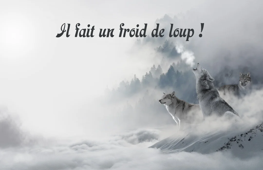 Une meute de trois loups se tient sur une crête enneigée, l'un hurlant avec son souffle visible, dans un décor de forêt brumeuse.