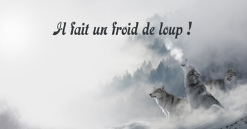 Aperçu de la carte : Il fait un froid de loup !